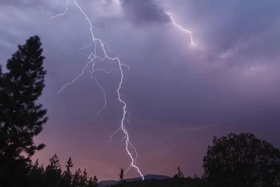 Forest Lightning